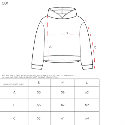 Hoodie boxy dark grey distressed 001